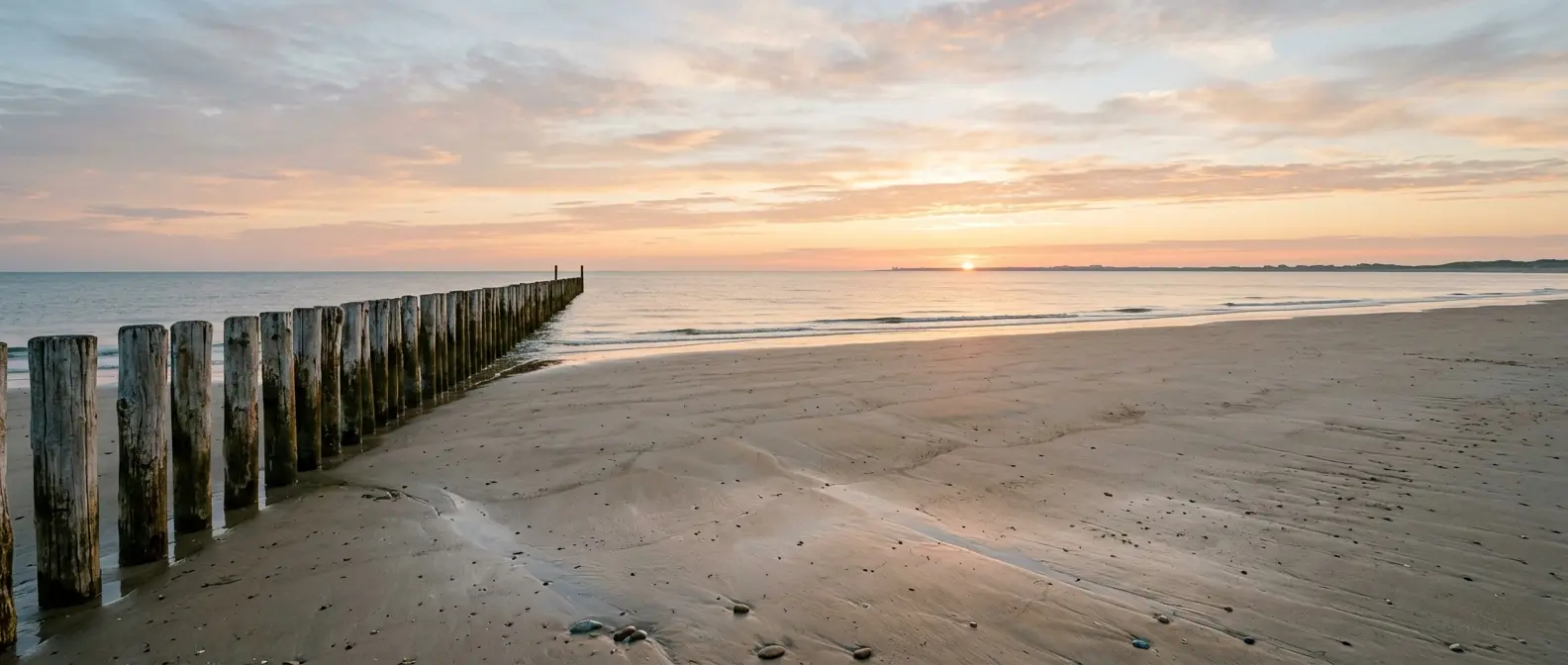 Leeg strand met paalhoofden bij zonsopkomst